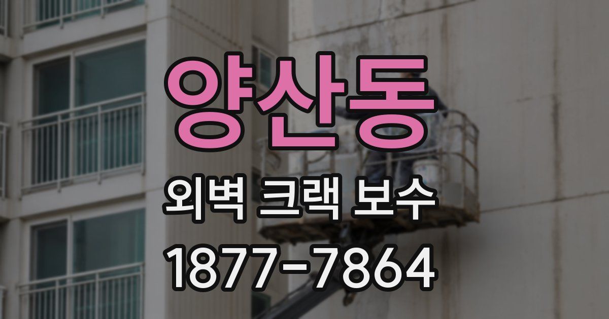 양산동 외벽 크랙 보수