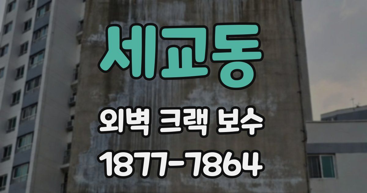 세교동 외벽 크랙 보수