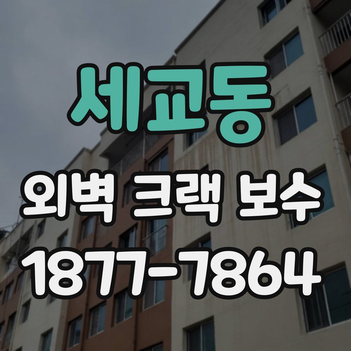 세교동 외벽 크랙 보수