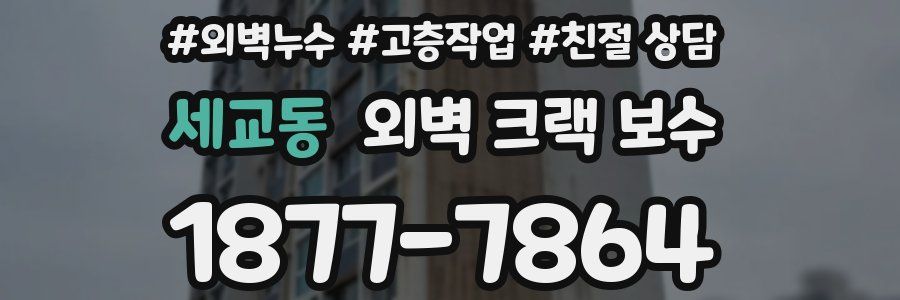 세교동 외벽 크랙 보수