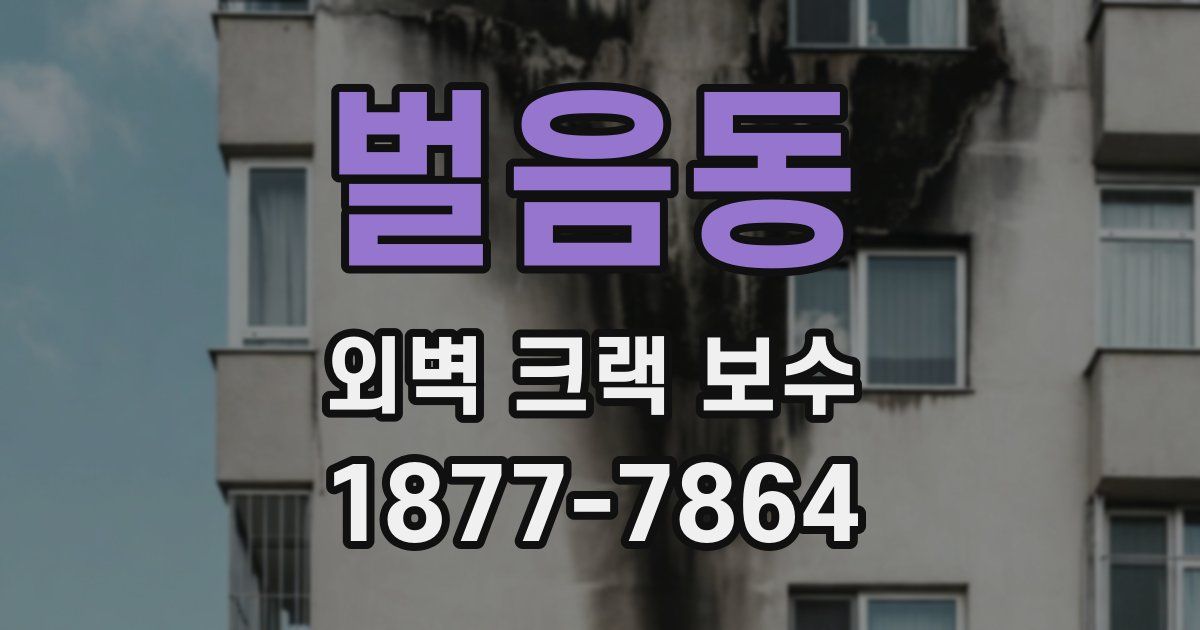 벌음동 외벽 크랙 보수