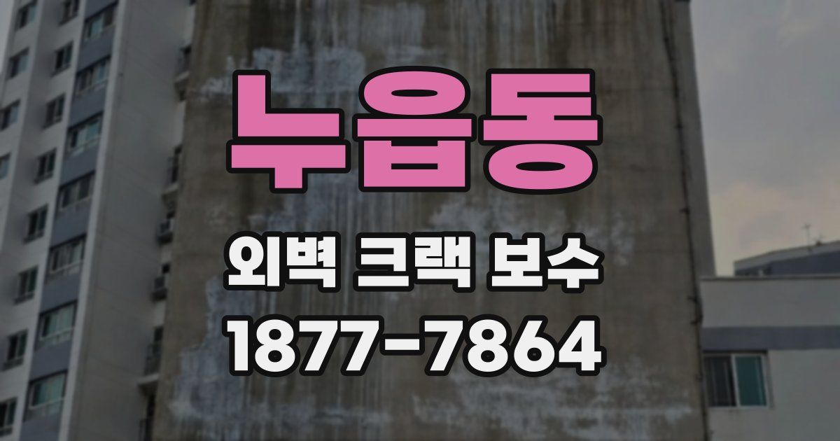 누읍동 외벽 크랙 보수