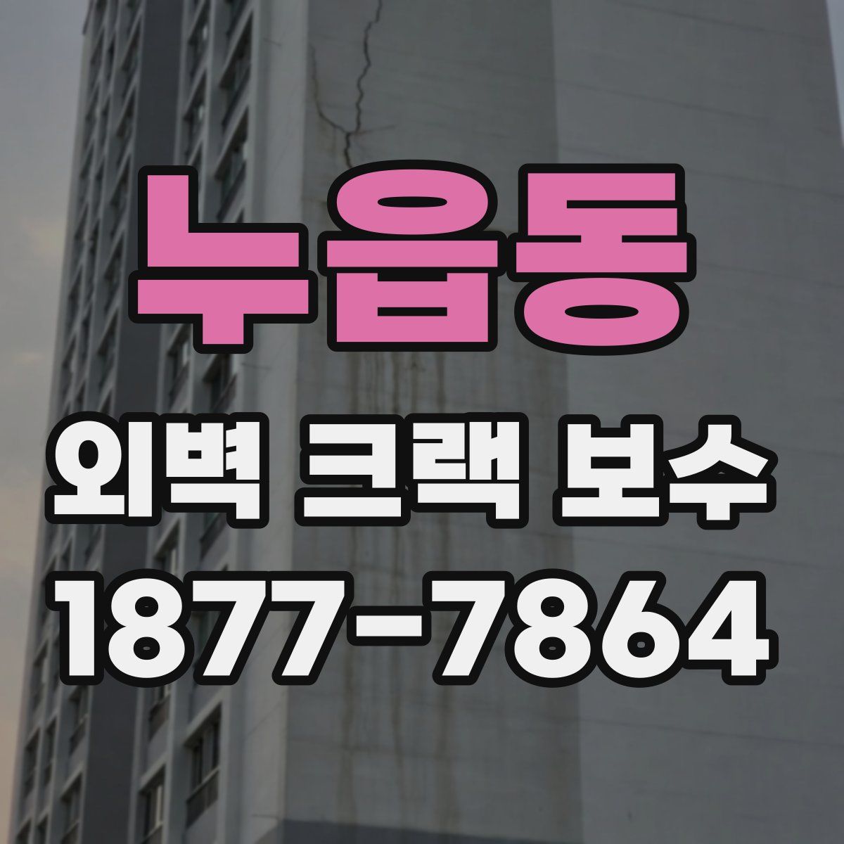 누읍동 외벽 크랙 보수