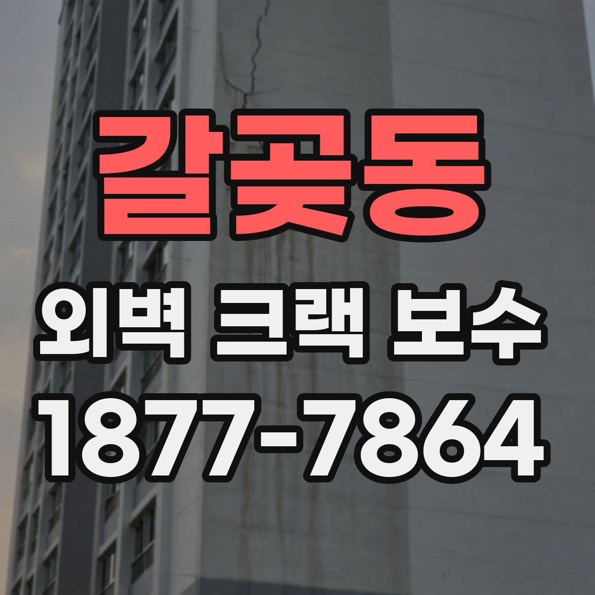 갈곶동 외벽 크랙 보수 진행 중 비가 올 때 대처 방법
