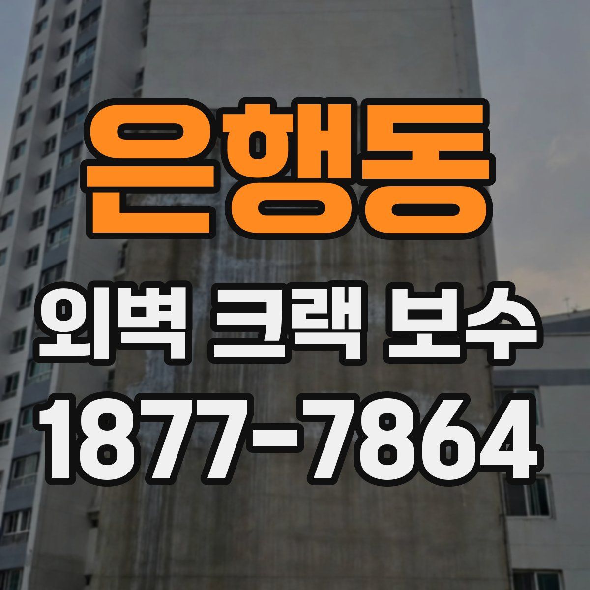 은행동 외벽 크랙 보수