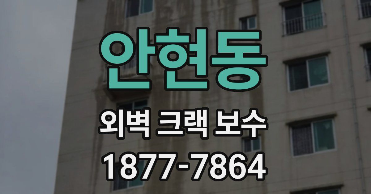 안현동 외벽 크랙 보수