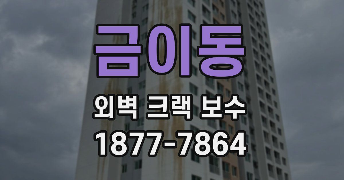 금이동 외벽 크랙 보수