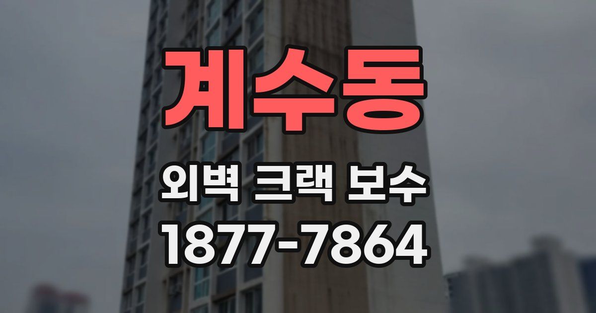 계수동 외벽 크랙 보수