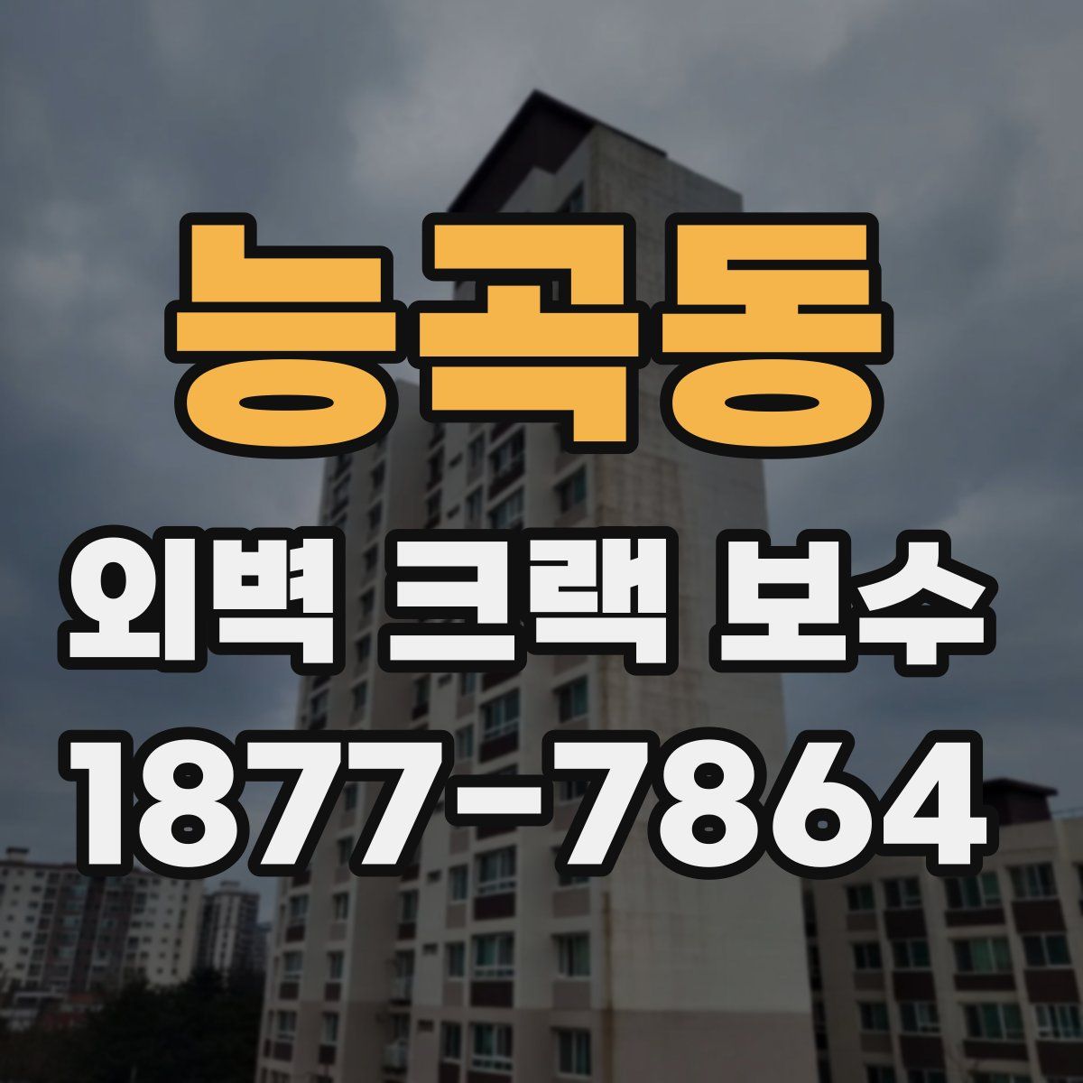 능곡동 외벽 크랙 보수