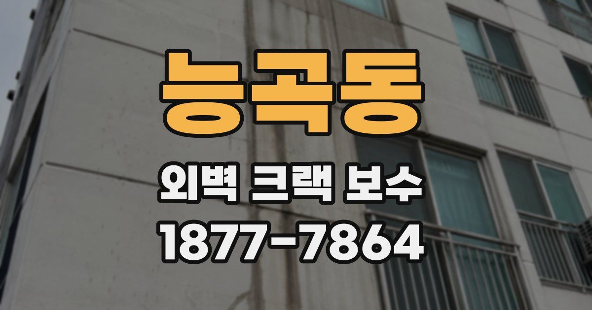 능곡동 외벽 크랙 보수