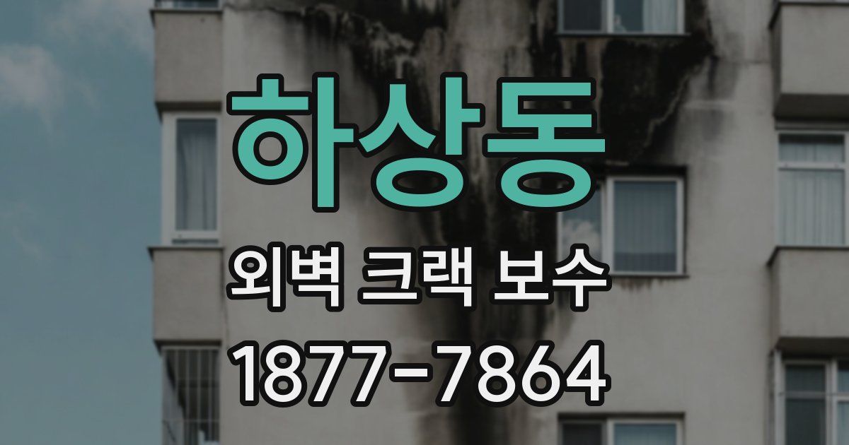 하상동 외벽 크랙 보수