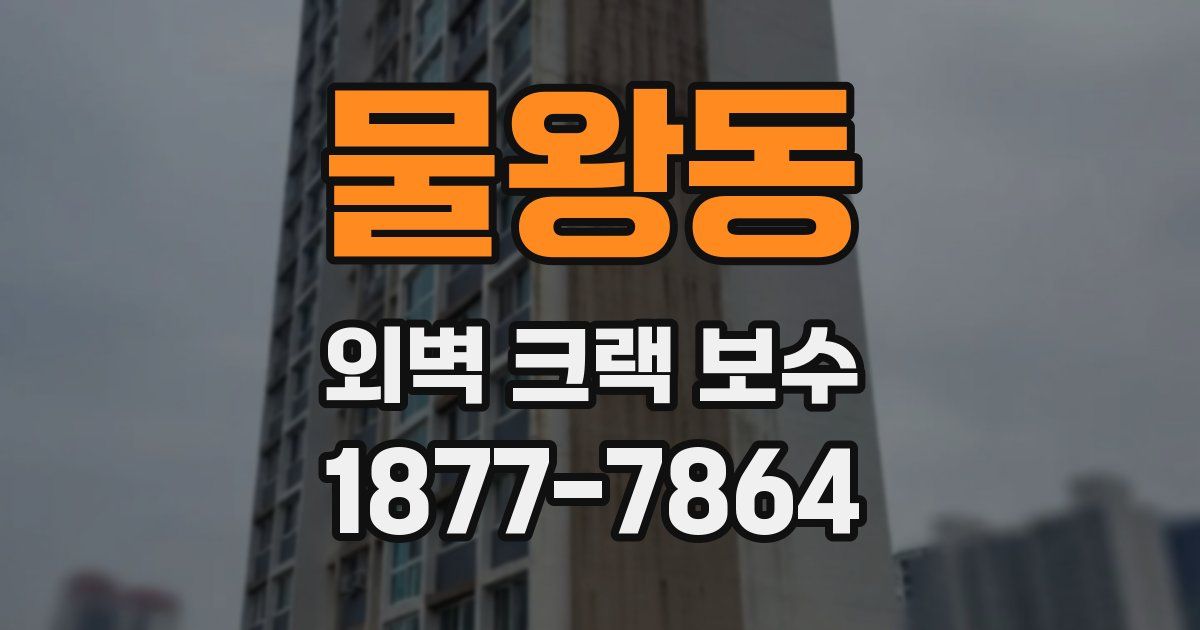 물왕동 외벽 크랙 보수