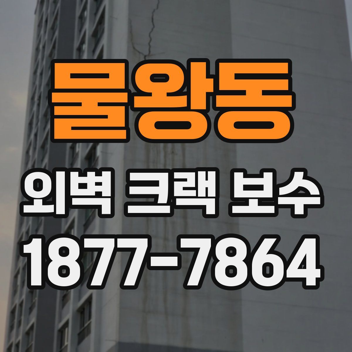물왕동 외벽 크랙 보수
