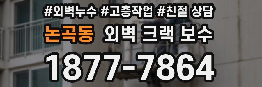 논곡동 외벽 크랙 보수