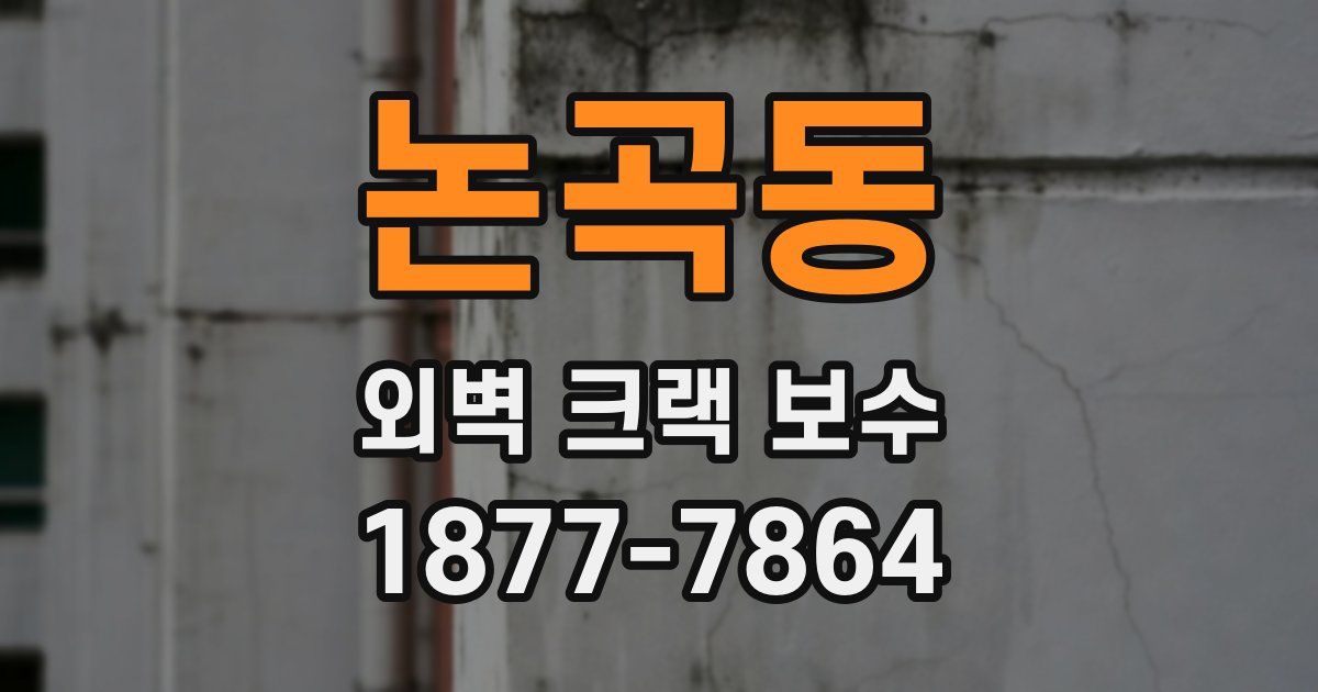 논곡동 외벽 크랙 보수