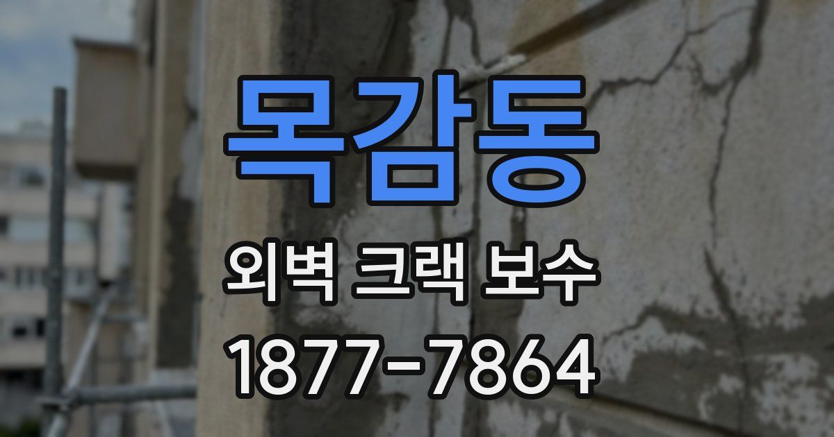 목감동 외벽 크랙 보수