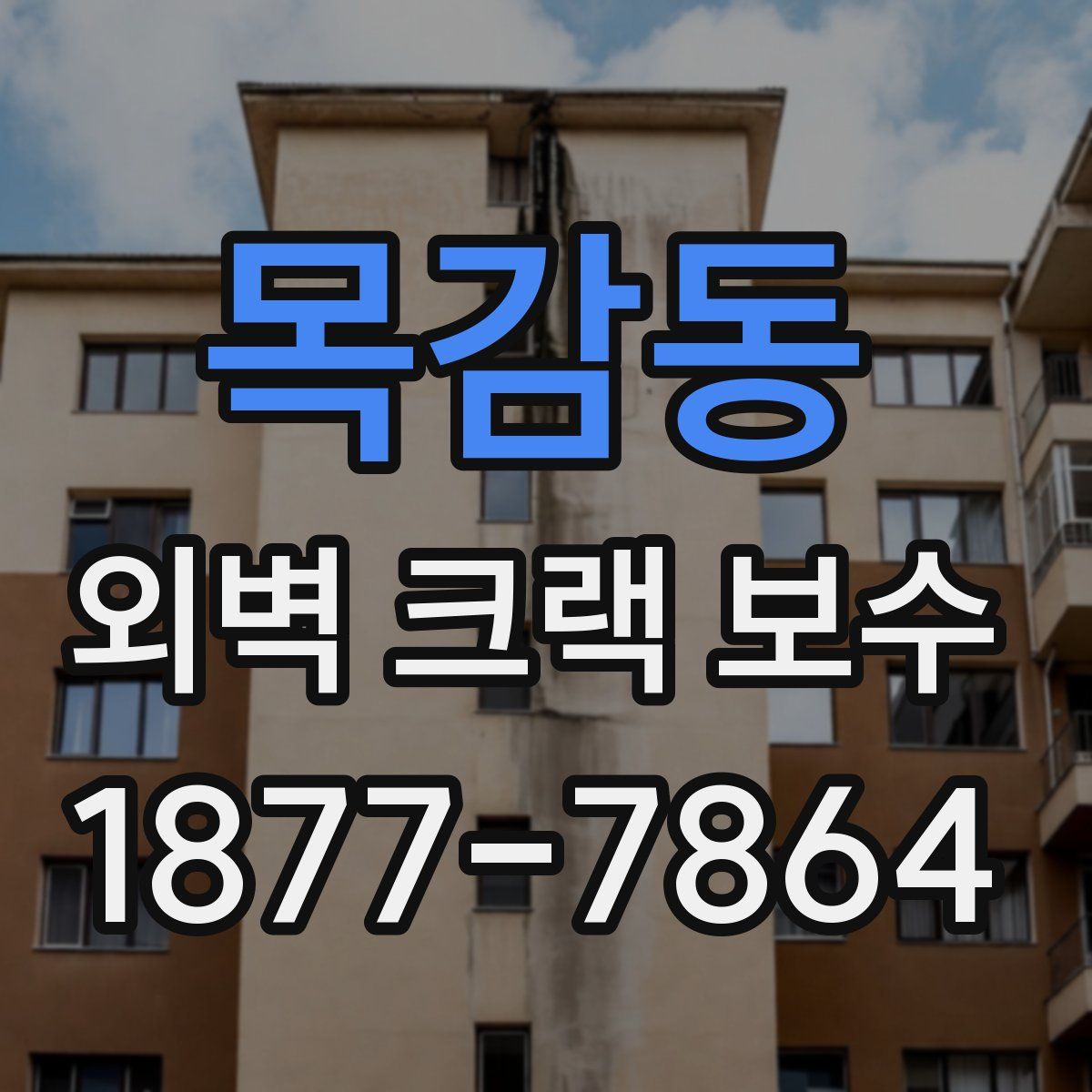 목감동 외벽 크랙 보수
