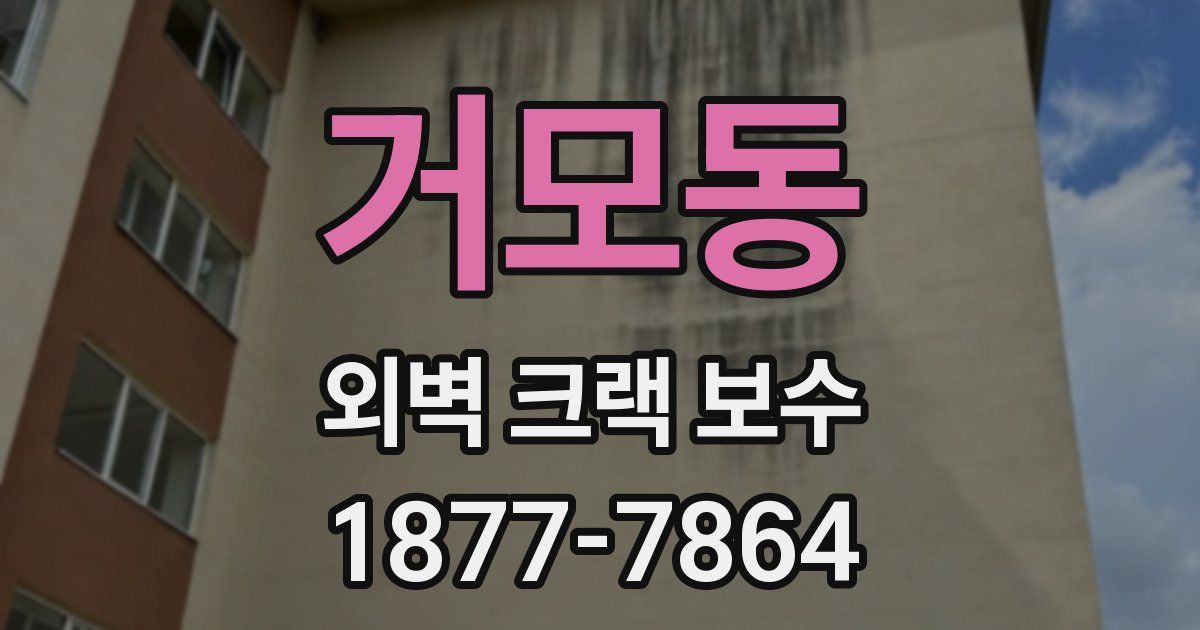 거모동 외벽 크랙 보수