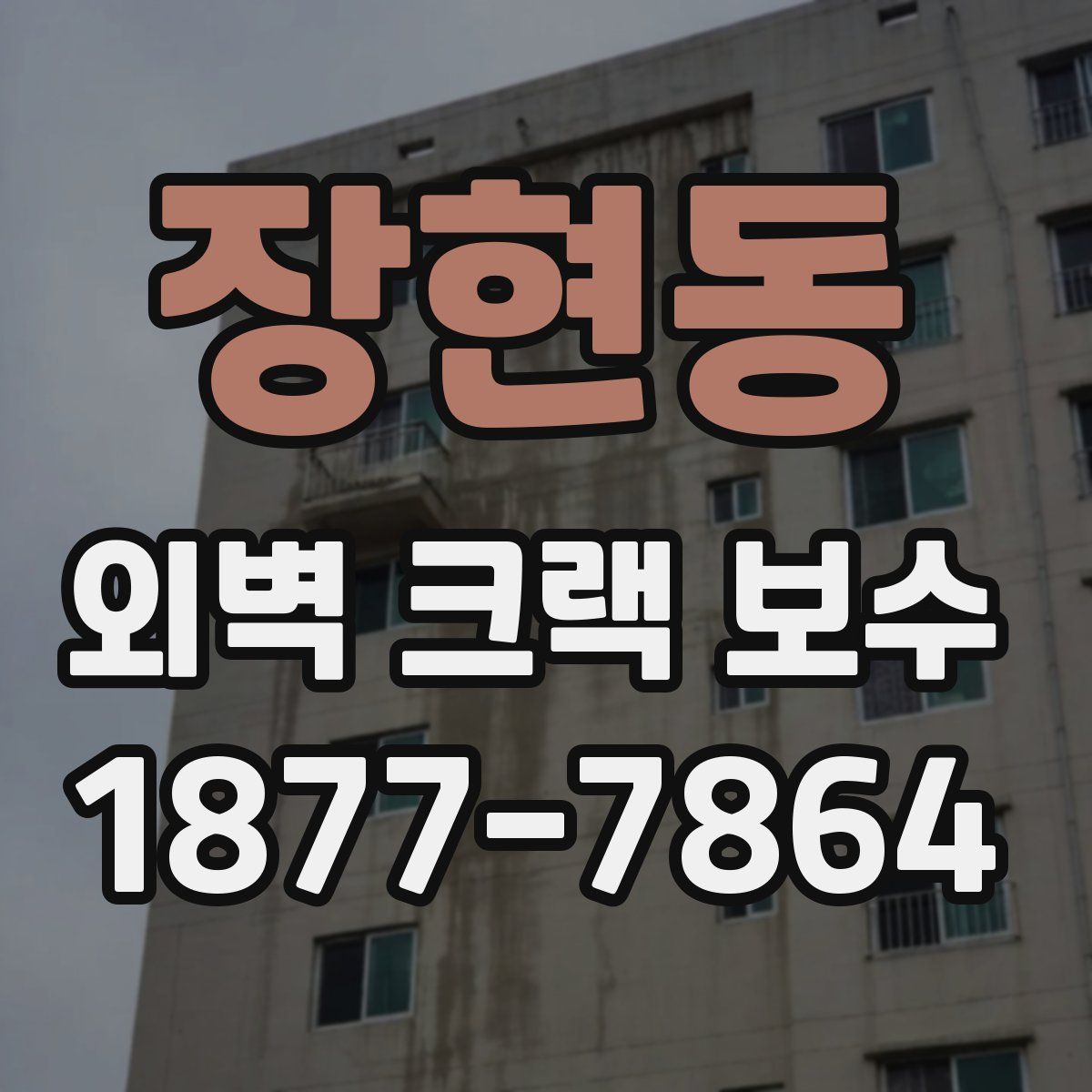 장현동 외벽 크랙 보수