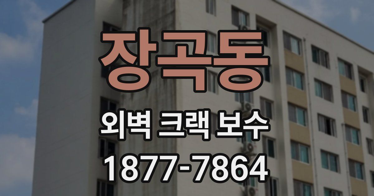 장곡동 외벽 크랙 보수