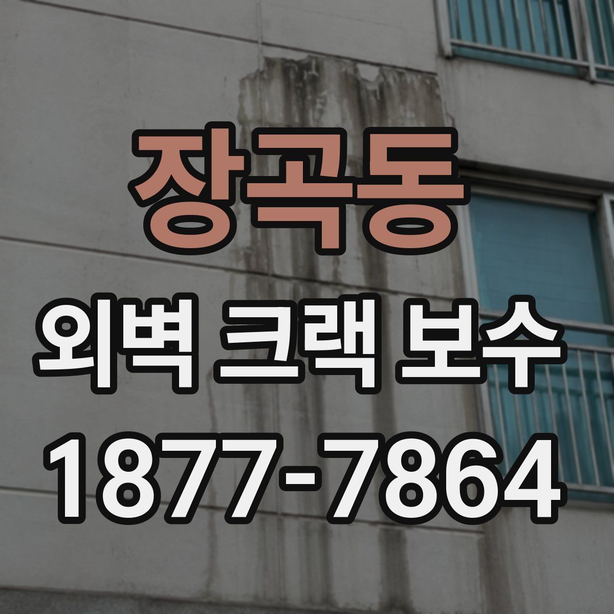 장곡동 외벽 크랙 보수