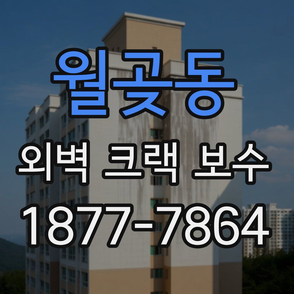 월곶동 외벽 크랙 보수