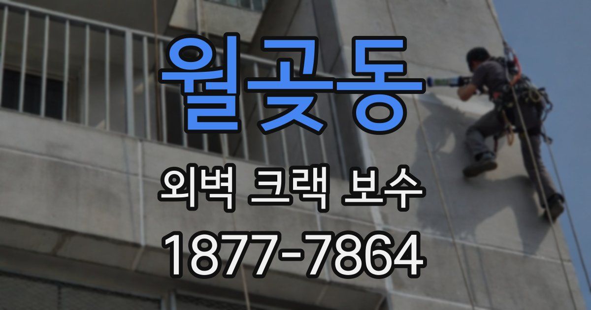 월곶동 외벽 크랙 보수