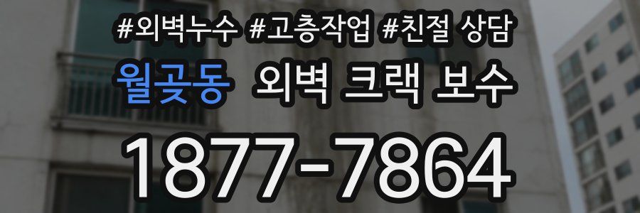 월곶동 외벽 크랙 보수