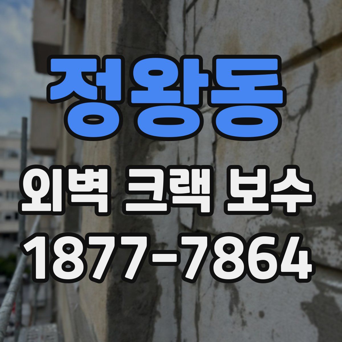 정왕동 외벽 크랙 보수