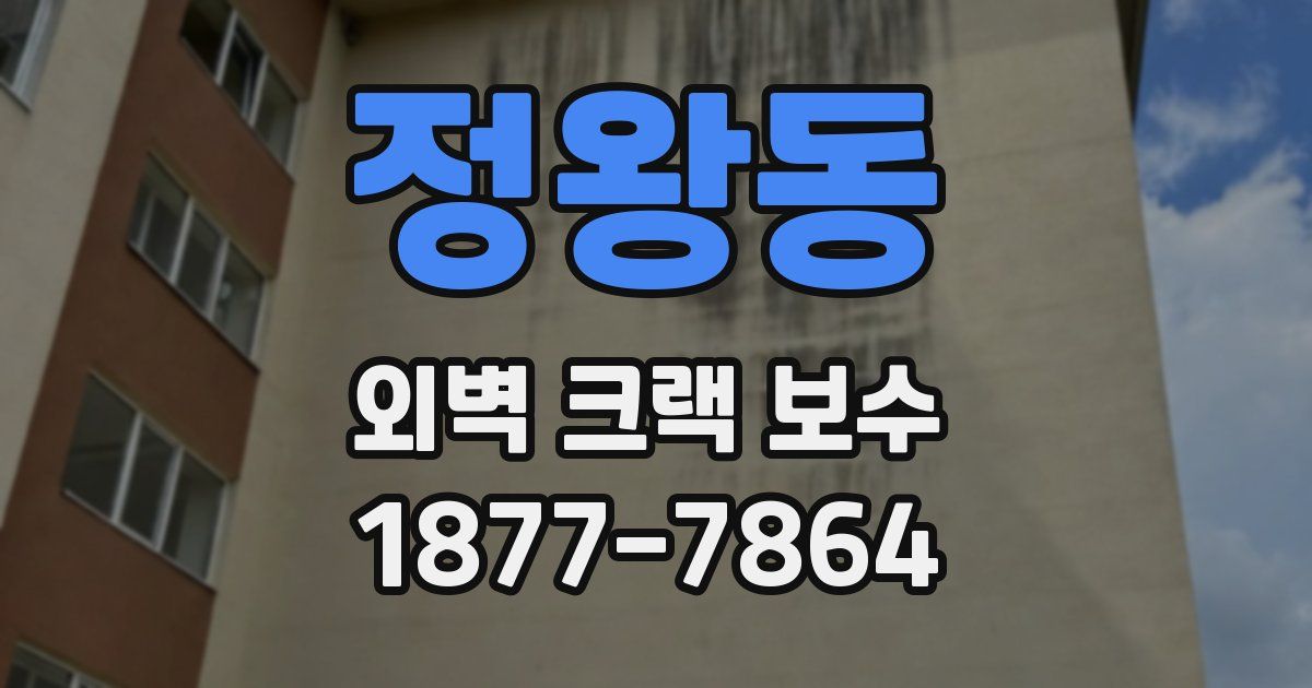 정왕동 외벽 크랙 보수