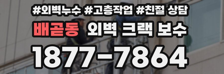 배곧동 외벽 크랙 보수