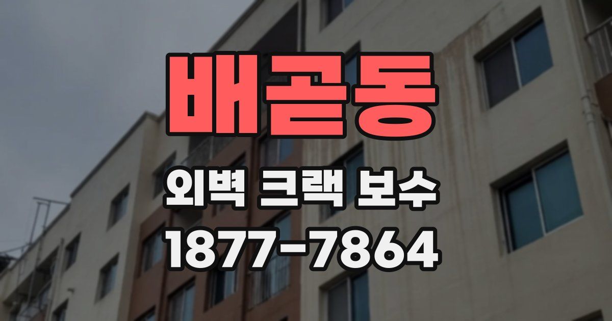 배곧동 외벽 크랙 보수