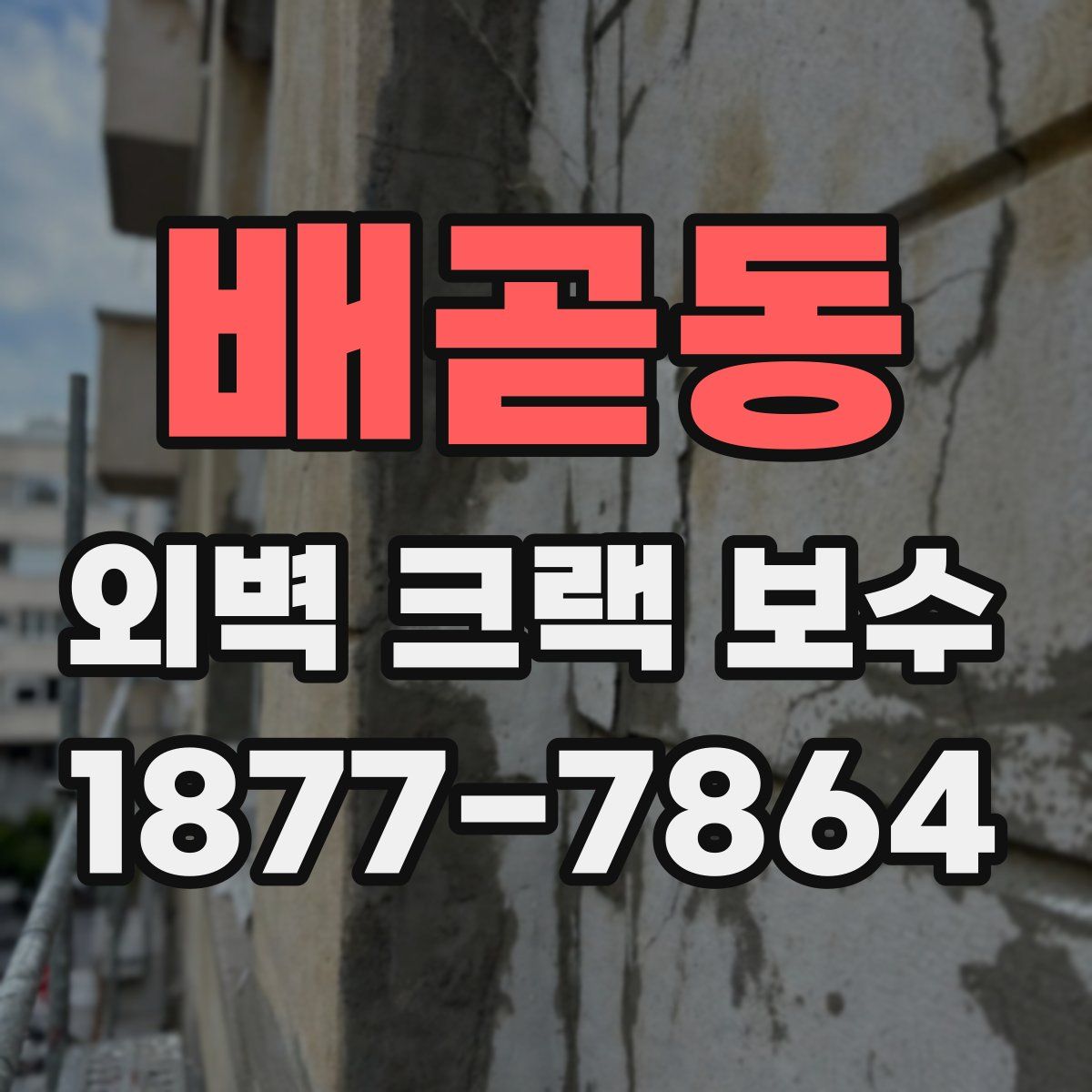 배곧동 외벽 크랙 보수