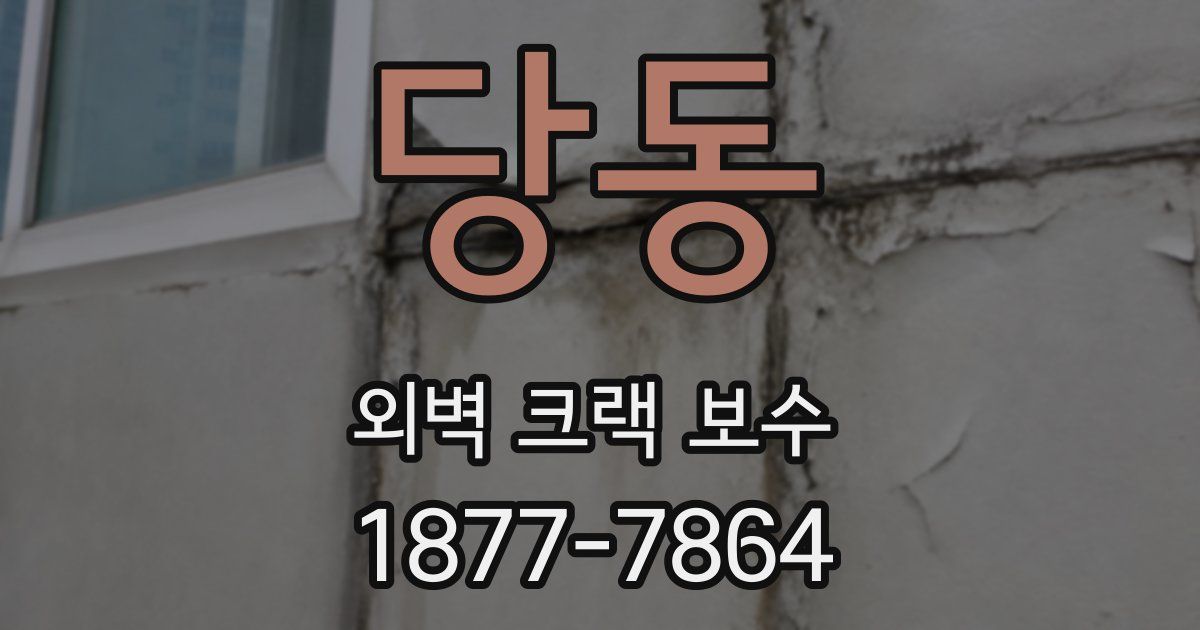 당동 외벽 크랙 보수