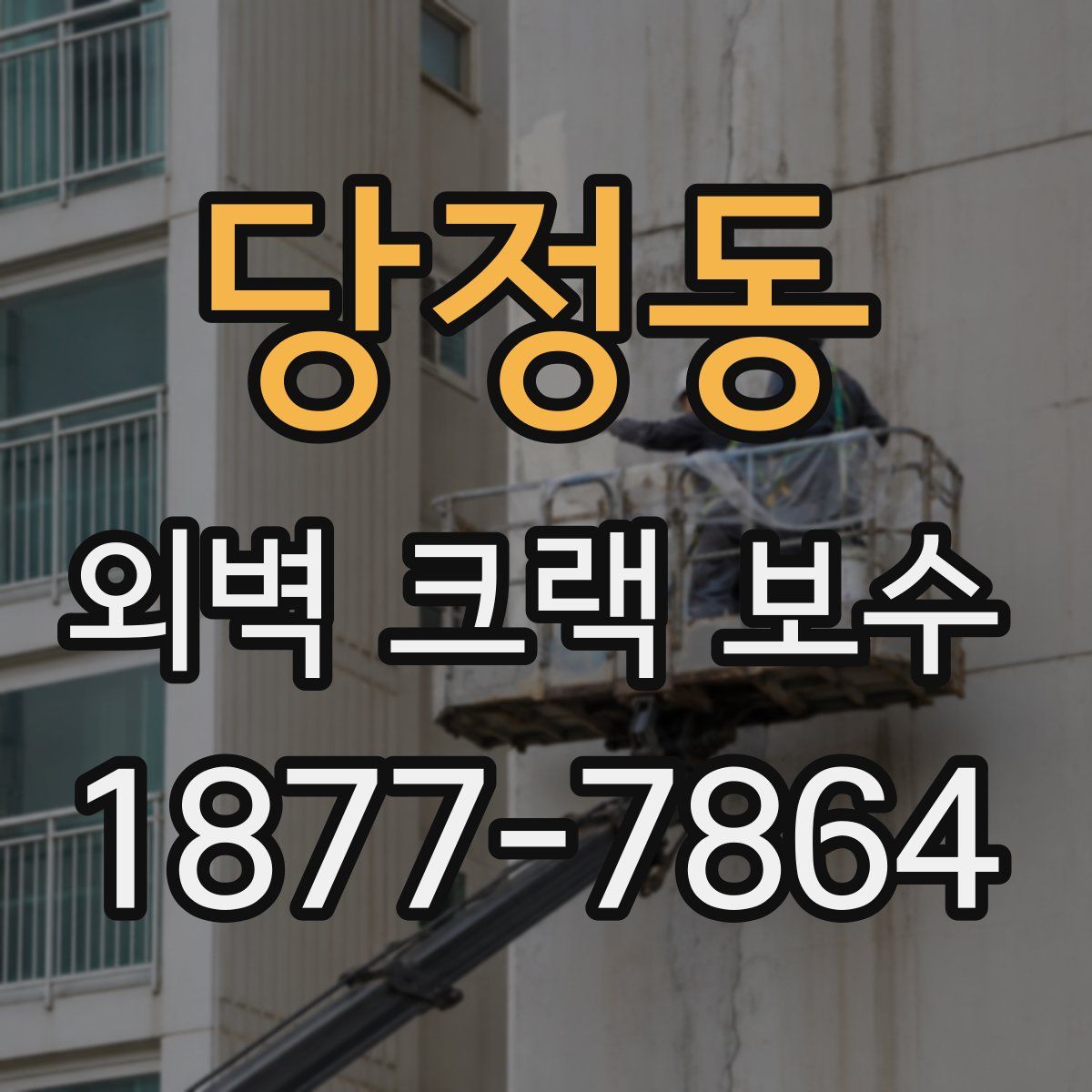 당정동 외벽 크랙 보수