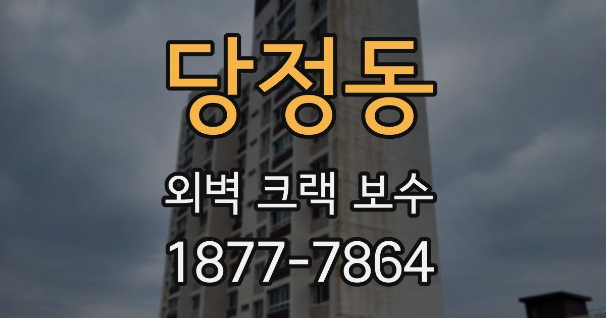 당정동 외벽 크랙 보수