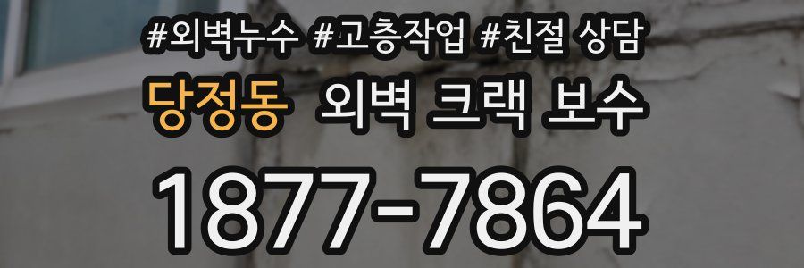 당정동 외벽 크랙 보수