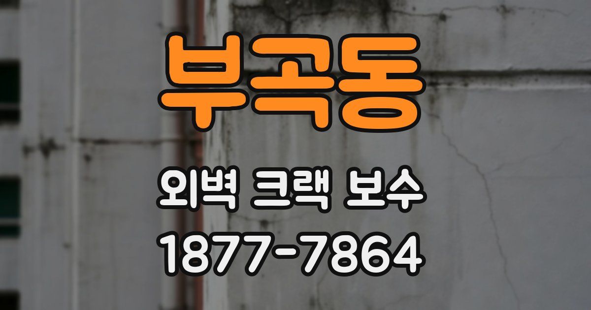 부곡동 외벽 크랙 보수