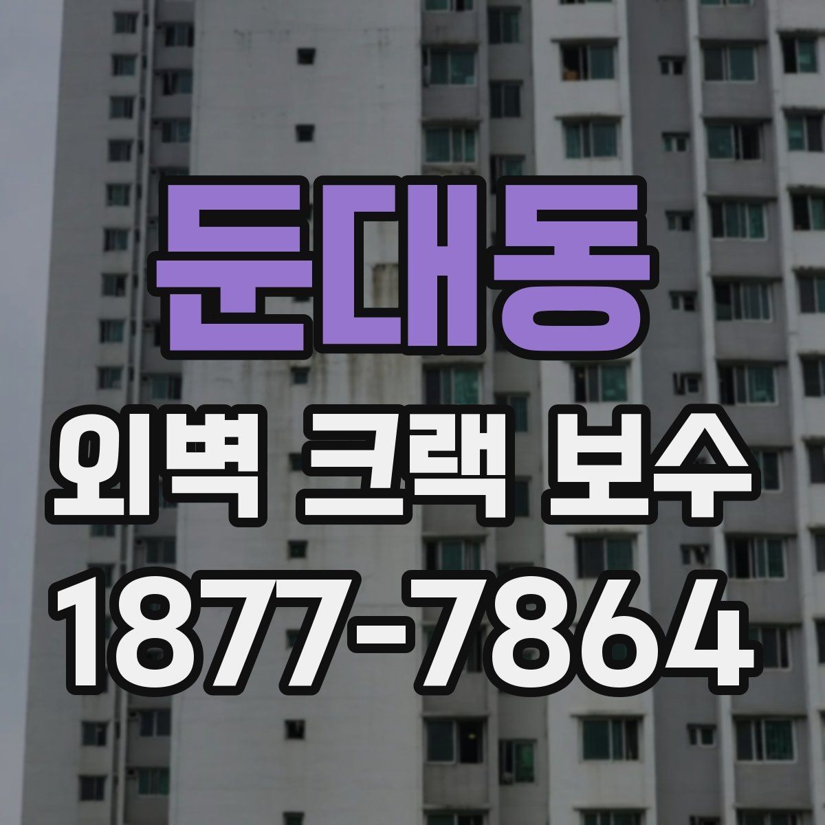둔대동 외벽 크랙 보수 범위는 어디까지 봐야 할까