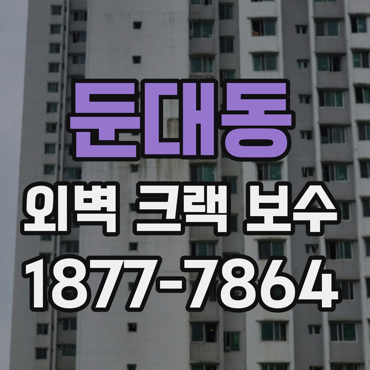 둔대동 외벽 크랙 보수