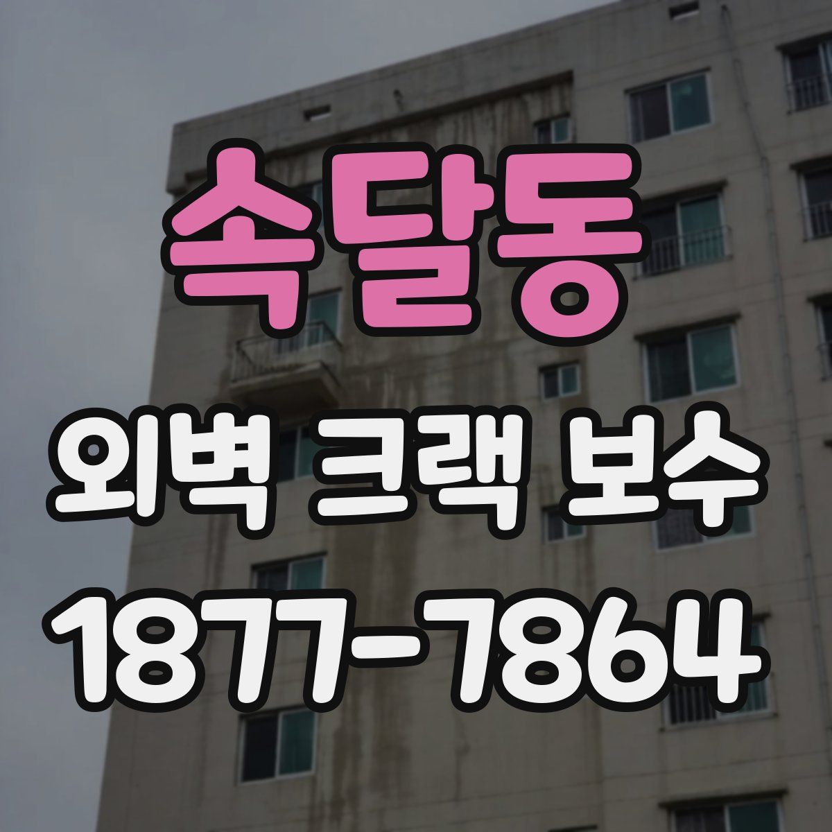 속달동 외벽 크랙 보수