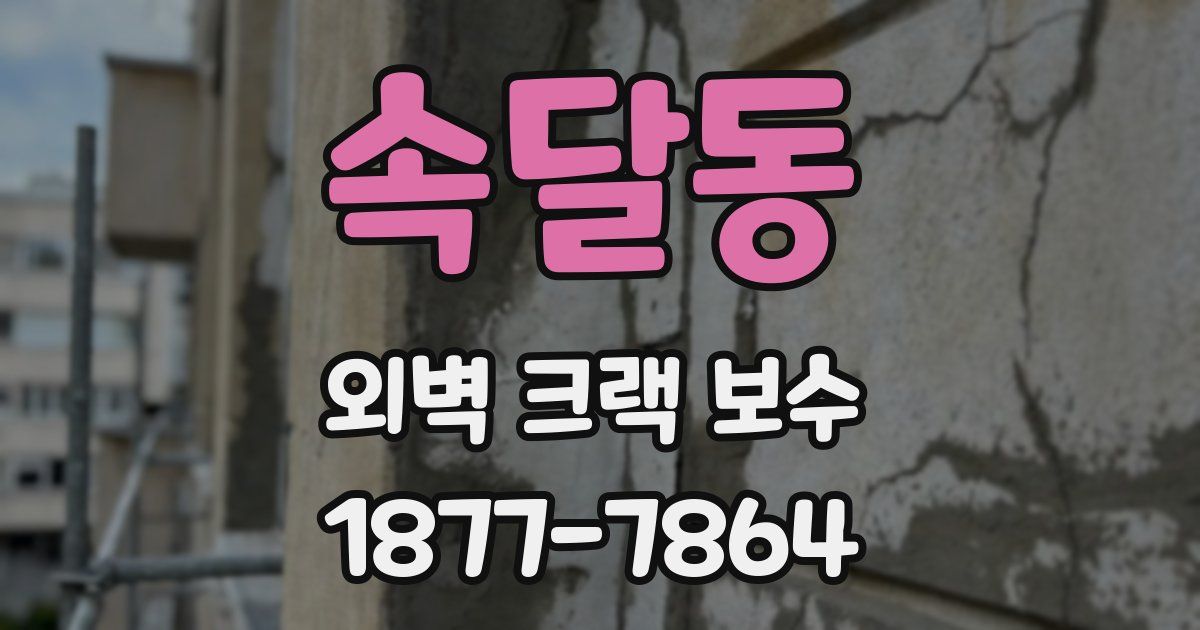 속달동 외벽 크랙 보수