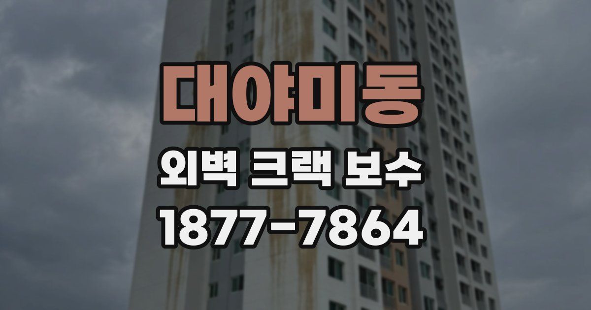 대야미동 외벽 크랙 보수