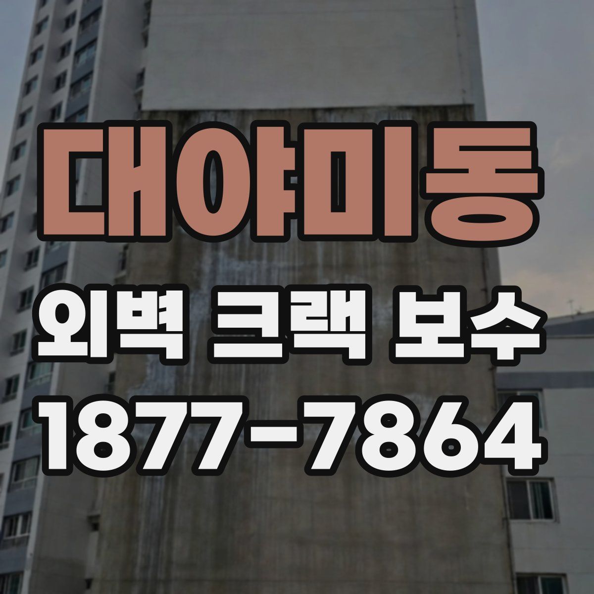 대야미동 외벽 크랙 보수
