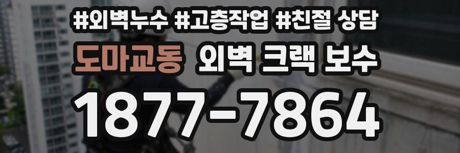 도마교동 외벽 크랙 보수