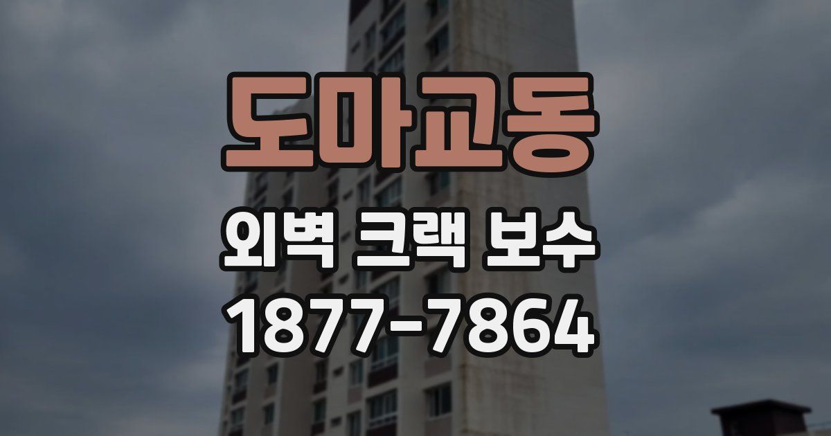 도마교동 외벽 크랙 보수