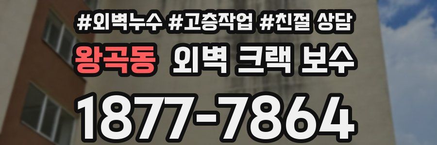 왕곡동 외벽 크랙 보수