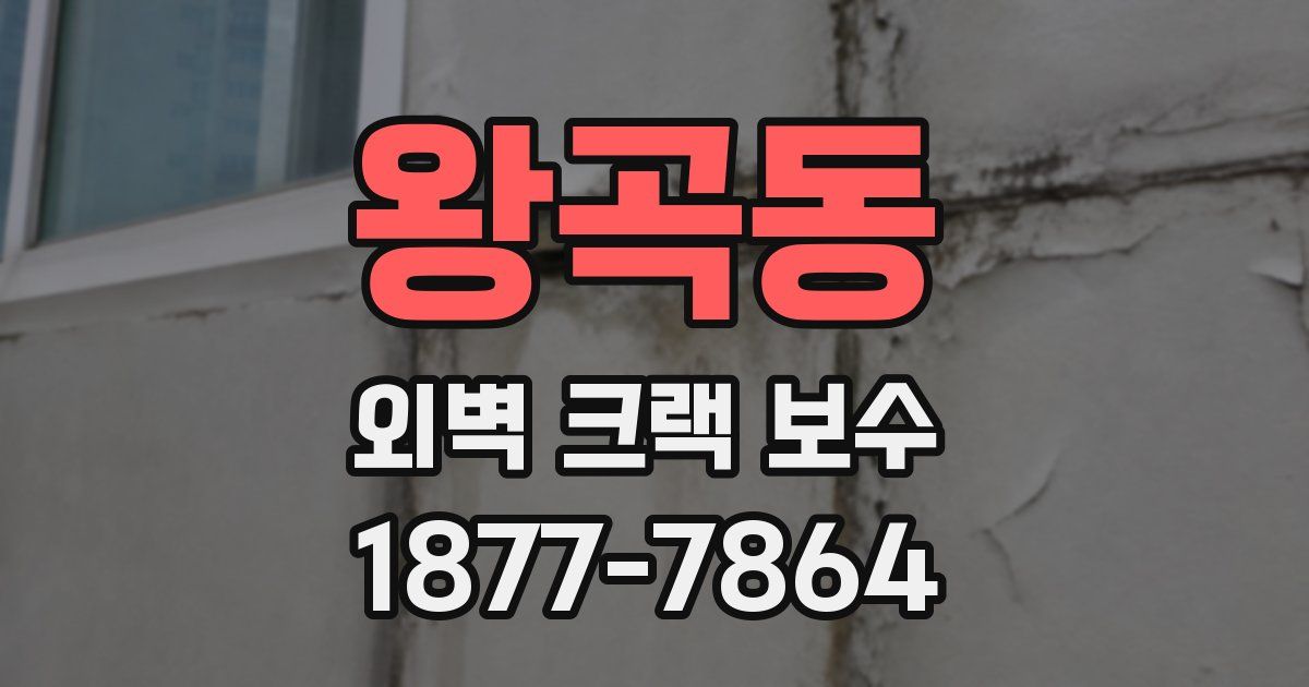 왕곡동 외벽 크랙 보수