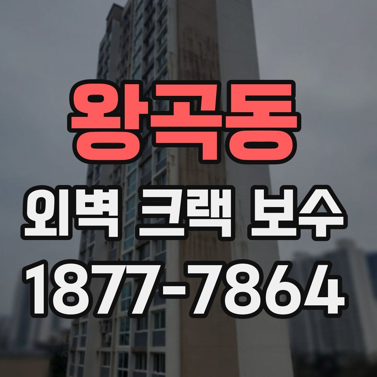 왕곡동 외벽 크랙 보수