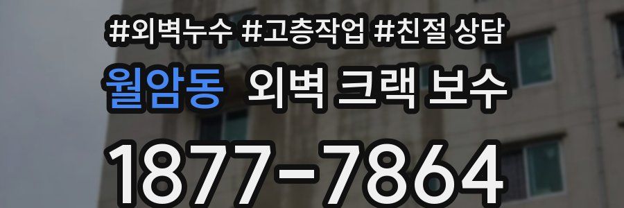 월암동 외벽 크랙 보수